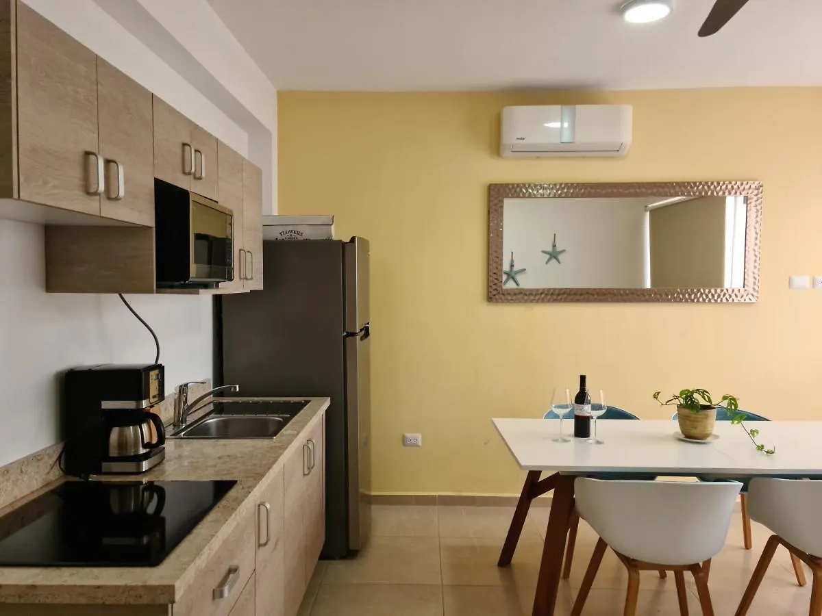 Luxury Apartment 2Br, Pool Roof, Near To The Beach Playa del Carmen 0*,  Mexico