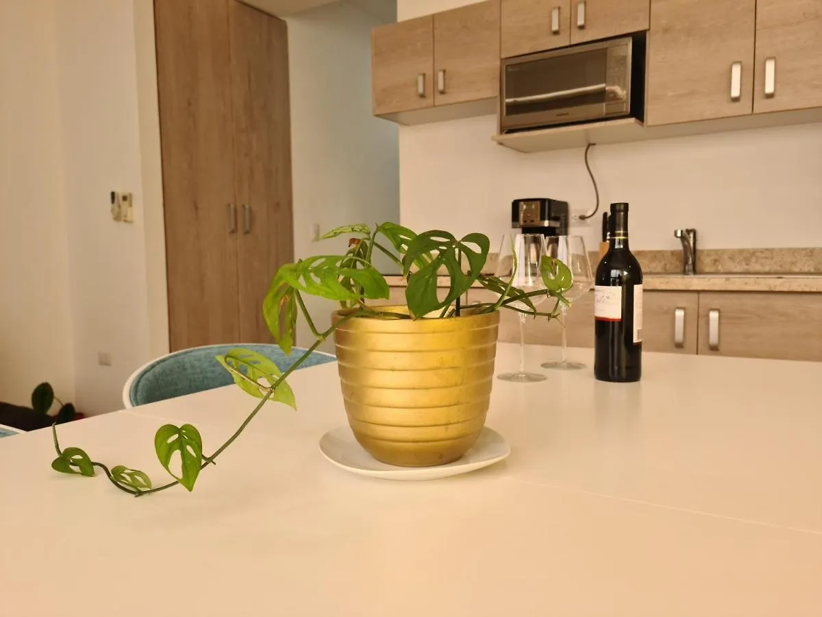 Luxury Apartment 2Br, Pool Roof, Near To The Beach Playa del Carmen